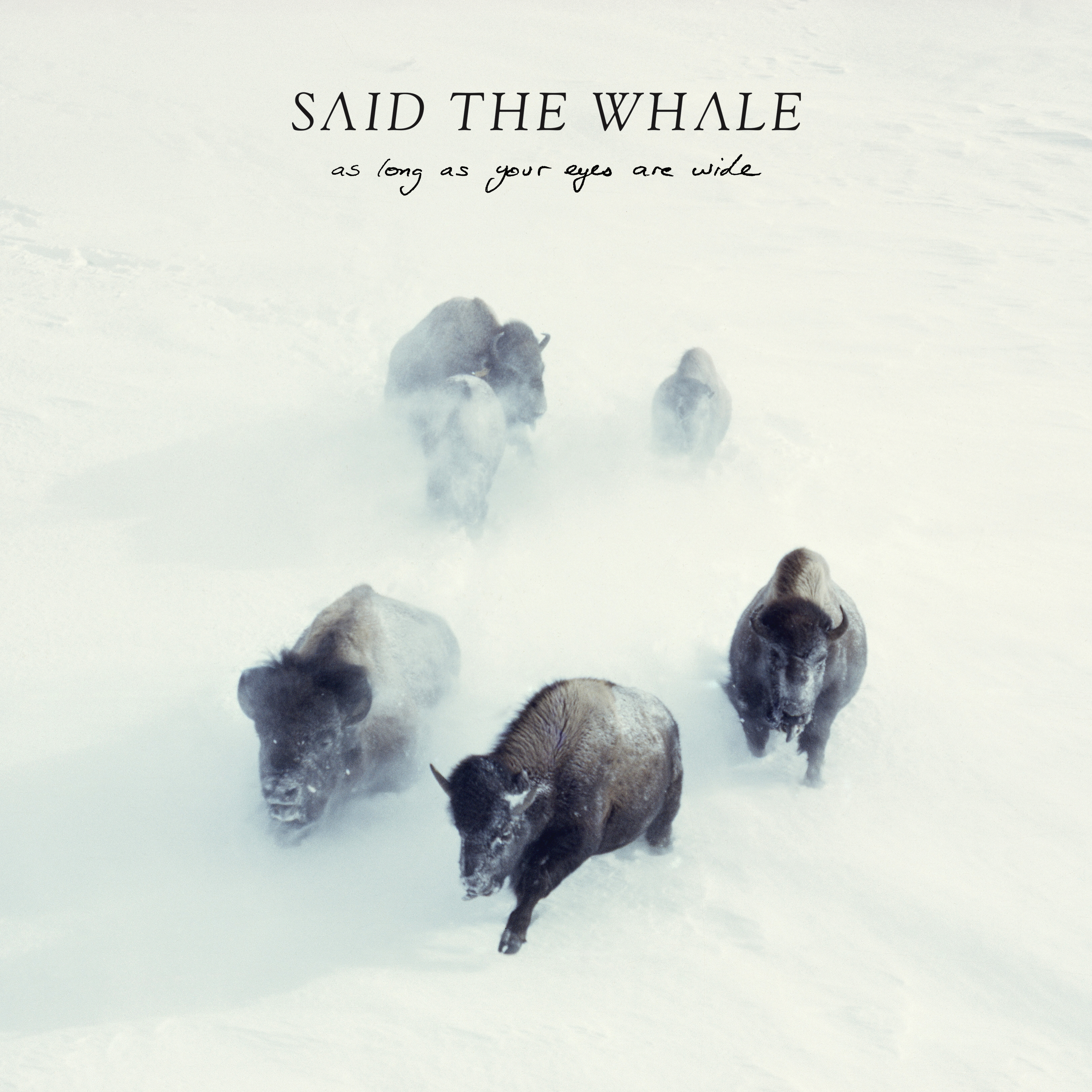 Said The Whale